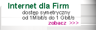 Internet dla Firm
